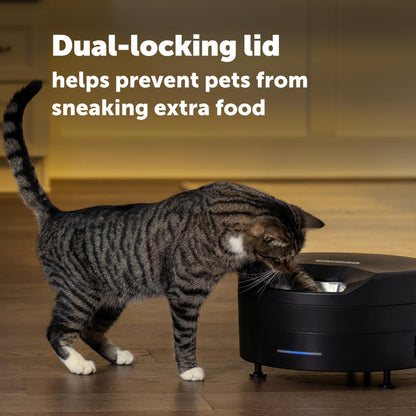 PetSafe FreshFeed Refrigerated Pet Feeder Automatic Wet Food Feeder for Cats & Small Dogs App Control 6 Fresh Meals Stainless Steel Inserts