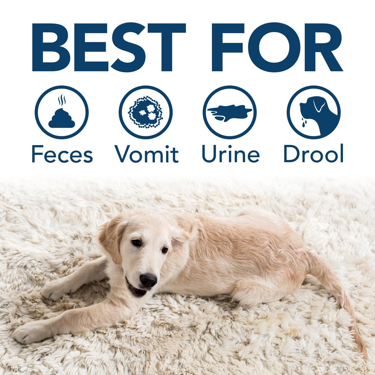 Enzyme Pet Stain & Odor Eliminator Spray
