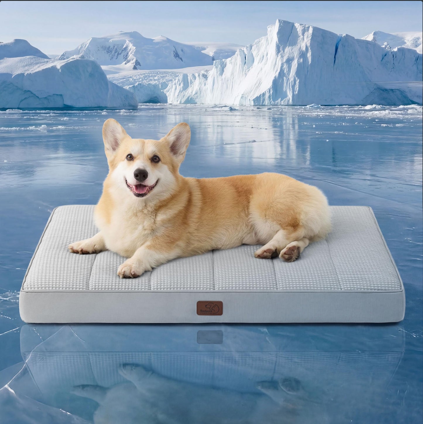 Washable Sherpa Dog Bed for Large Dogs