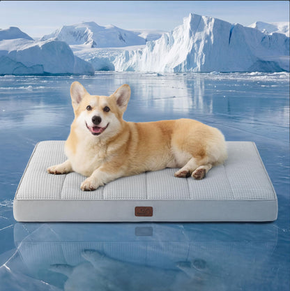 Washable Sherpa Dog Bed for Large Dogs