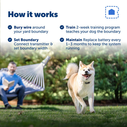 PetSafe Animal Collar