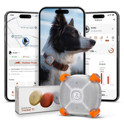 Molly&Cody Pet Tracker for Dogs