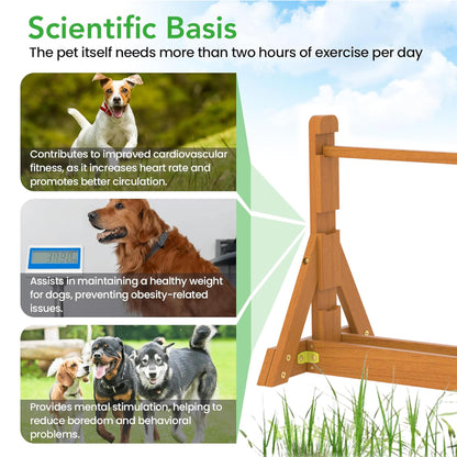 SuniBoxi Wooden Dog Training and Exercise Equipment