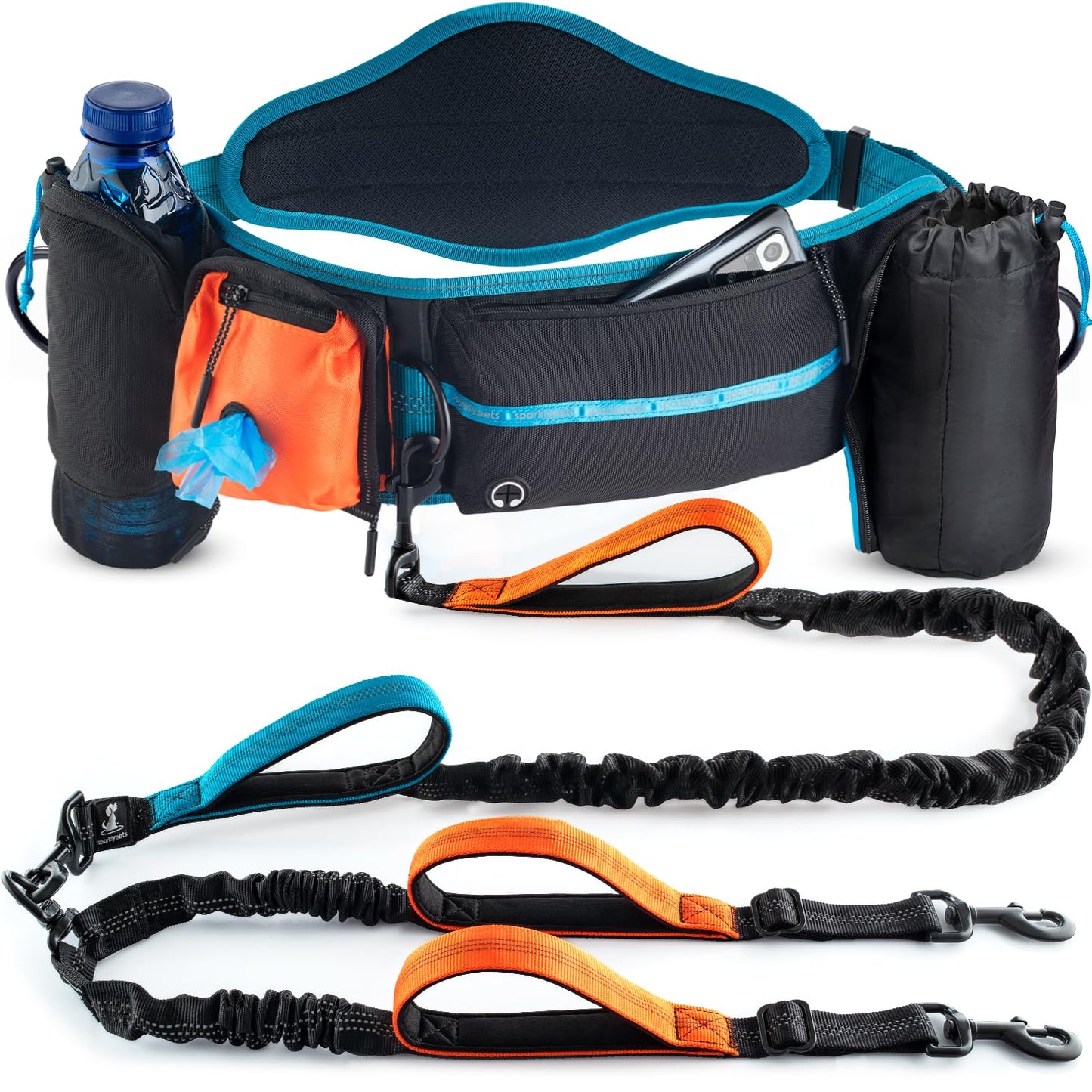 Reflective Dog Leash for Training & Outdoor Activities