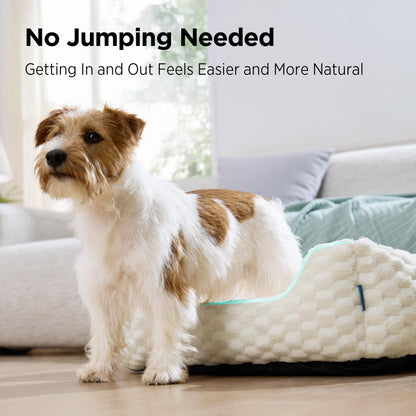 Fluffy Washable Dog Bed for Small & Medium Dogs