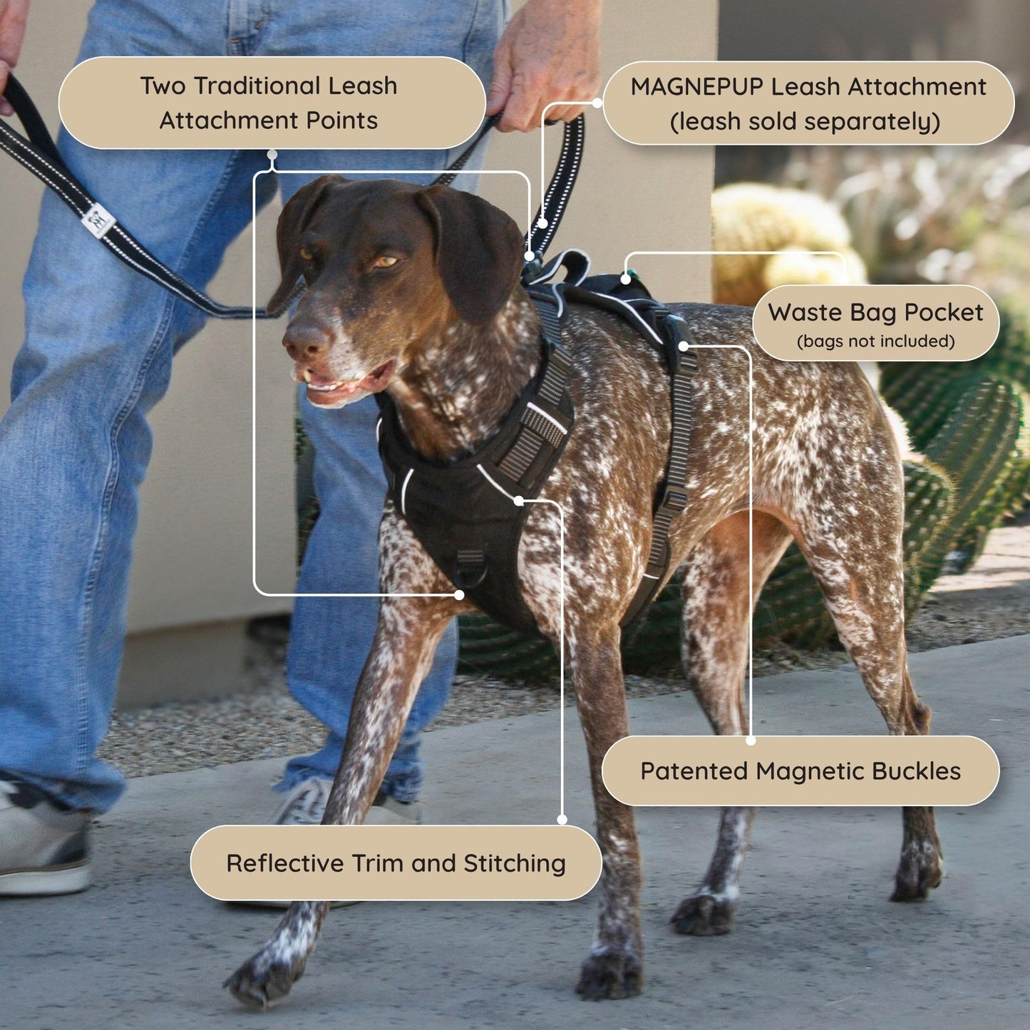 Adjustable Dog Harness with Reflective Safety Features
