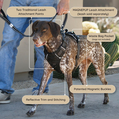Adjustable Dog Harness with Reflective Safety Features