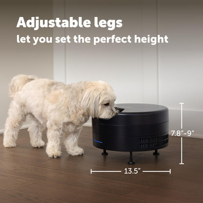 PetSafe FreshFeed Refrigerated Pet Feeder Automatic Wet Food Feeder for Cats & Small Dogs App Control 6 Fresh Meals Stainless Steel Inserts