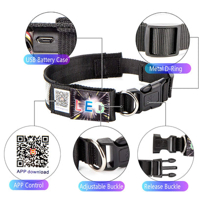 Leadleds Programmable LED Collar Flashing Light Up Rechargeable Pet Dog Safety Collar Glow in The Dark Light-up Neck Loop - Mixcolor LED