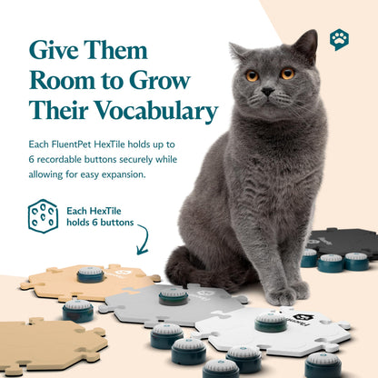 FluentPet Talking Button Kits