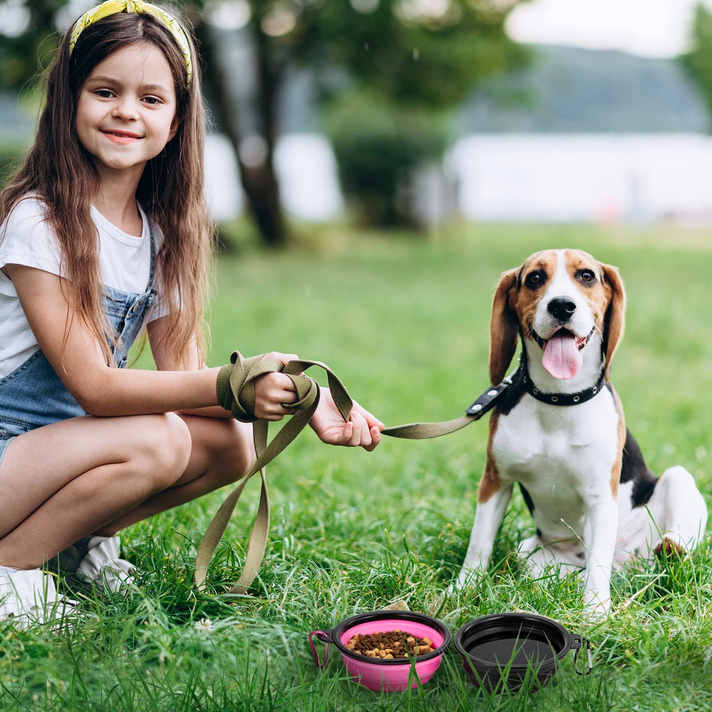 Collapsible Dog Bowls for Travel & Outdoor Use