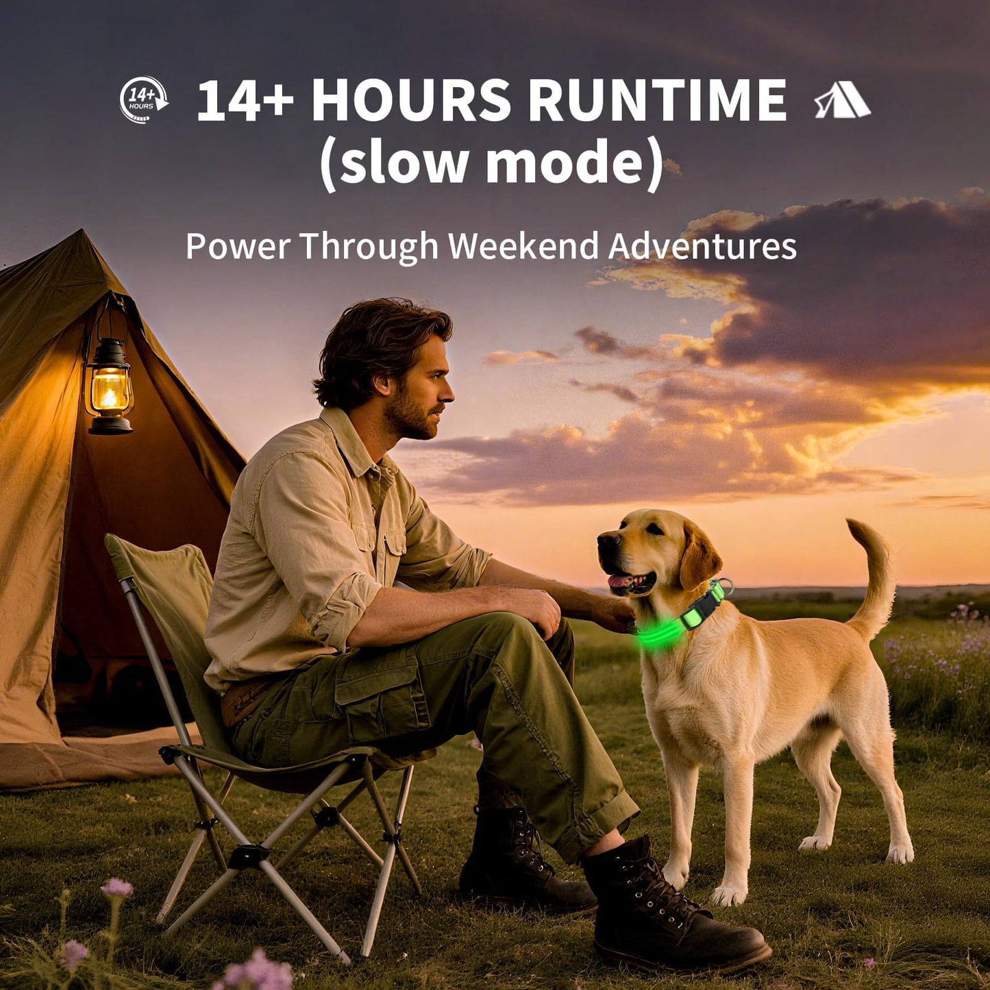 PetIsay Dog Light up Collar for Night Walking - High Visibility LED Dog Collar - Rechargeable - Waterproof - Reflective - Adjustable Lighted Glow Collars