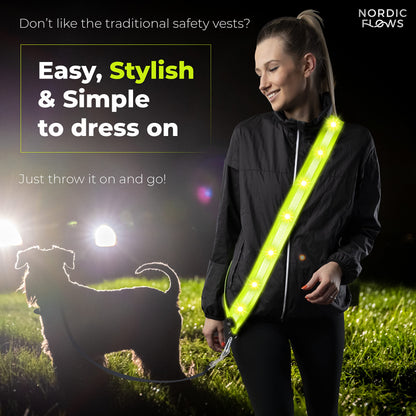 Rechargeable LED Safety Vest for Night Dog Walks