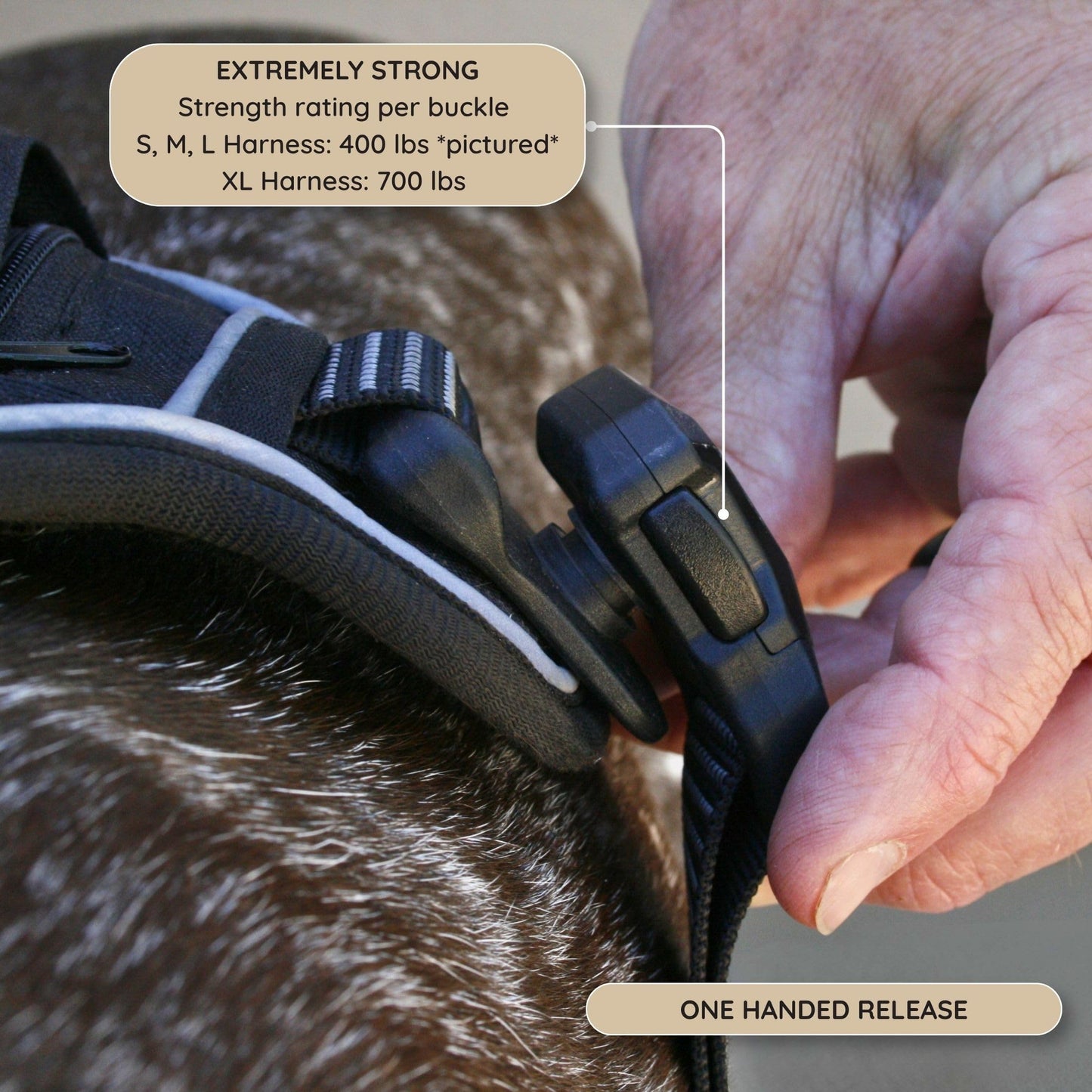 Adjustable Dog Harness with Reflective Safety Features