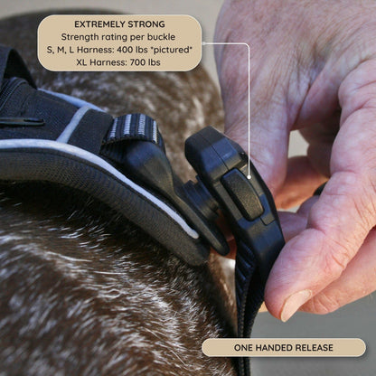 Adjustable Dog Harness with Reflective Safety Features