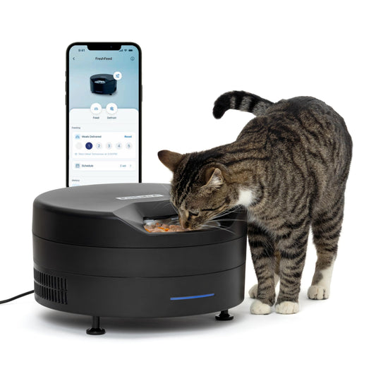 PetSafe FreshFeed Refrigerated Pet Feeder Automatic Wet Food Feeder for Cats & Small Dogs App Control 6 Fresh Meals Stainless Steel Inserts