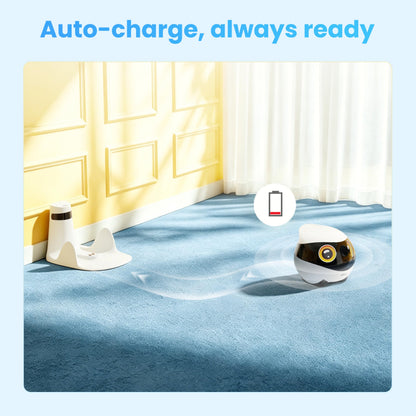 Enabot EBO SE 2 Home Robot Camera: 2K Mobile FamilyBot Pet Companion