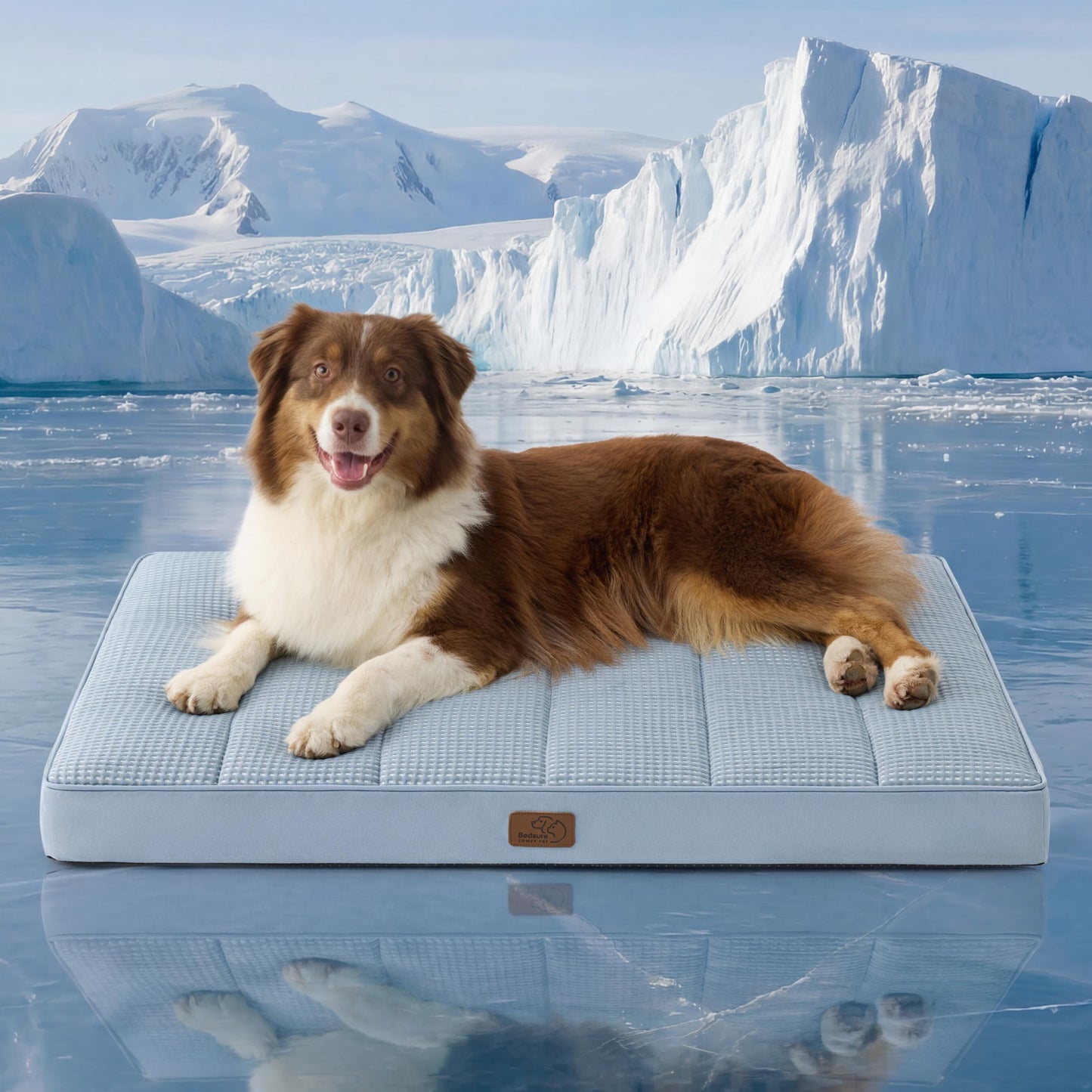 Washable Sherpa Dog Bed for Large Dogs