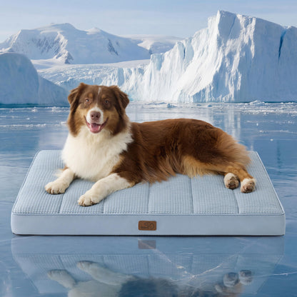 Washable Sherpa Dog Bed for Large Dogs