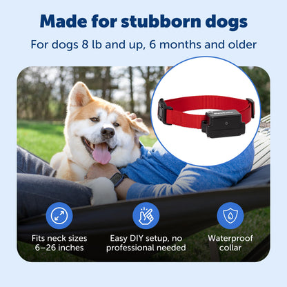 PetSafe Animal Collar
