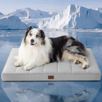 Washable Sherpa Dog Bed for Large Dogs