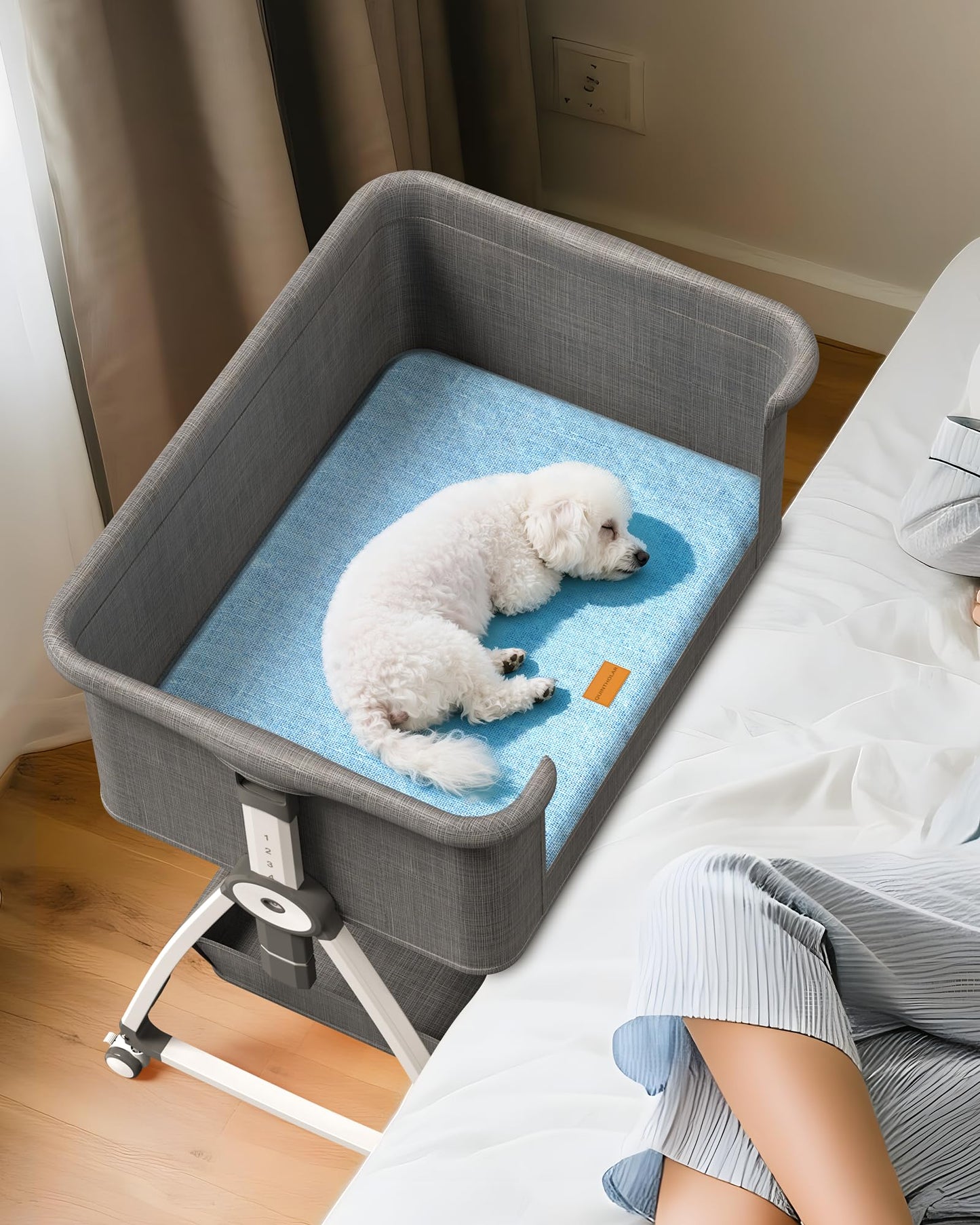 Adjustable Elevated Dog Bed for Small & Medium Dogs