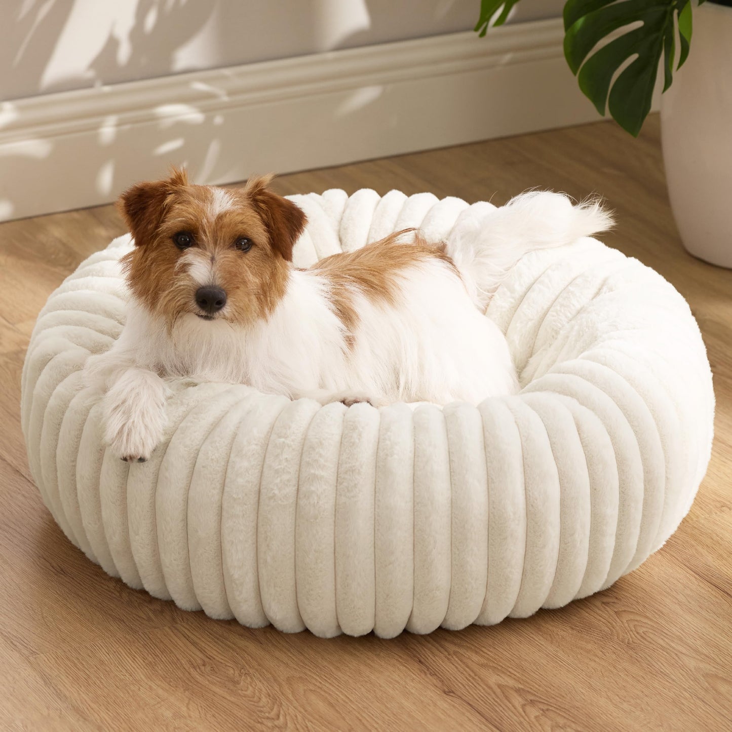 Donut Dog Bed with Removable Washable Cover