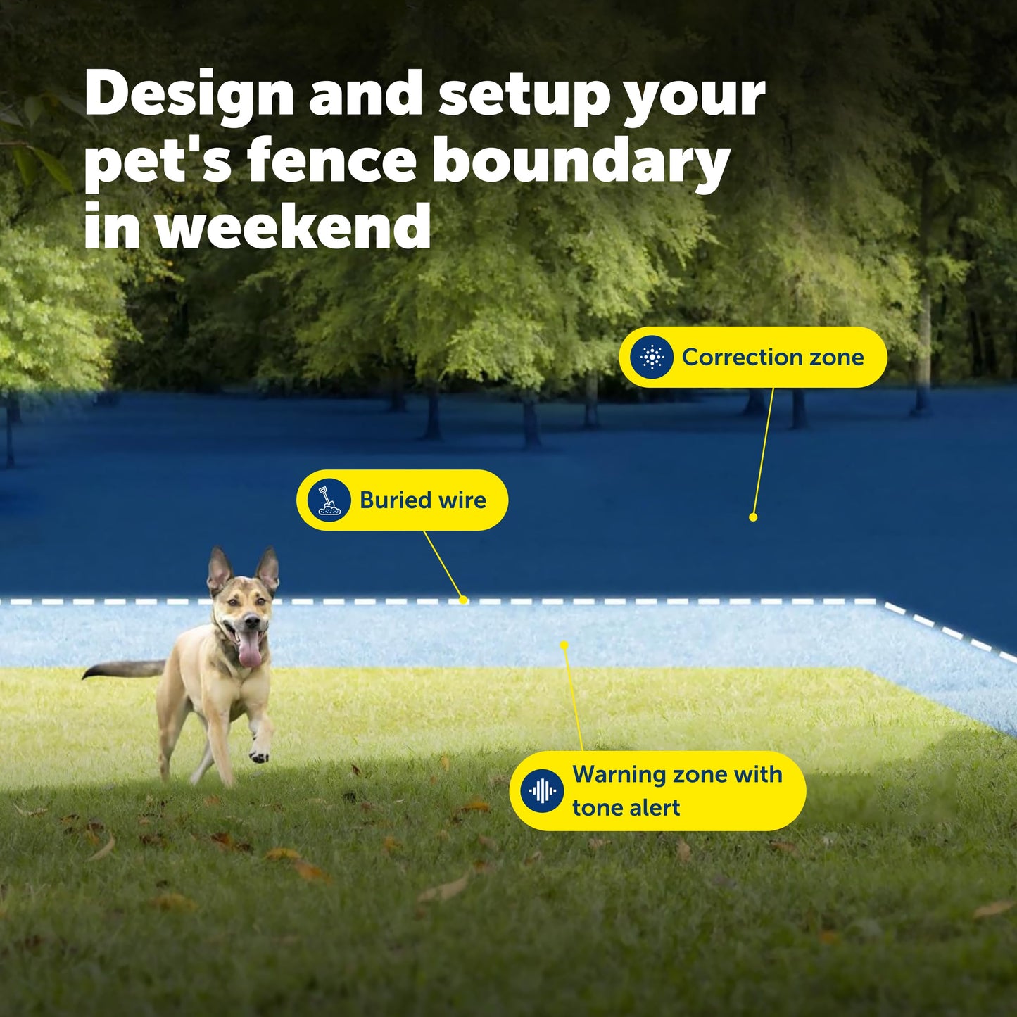 PetSafe Animal Collar