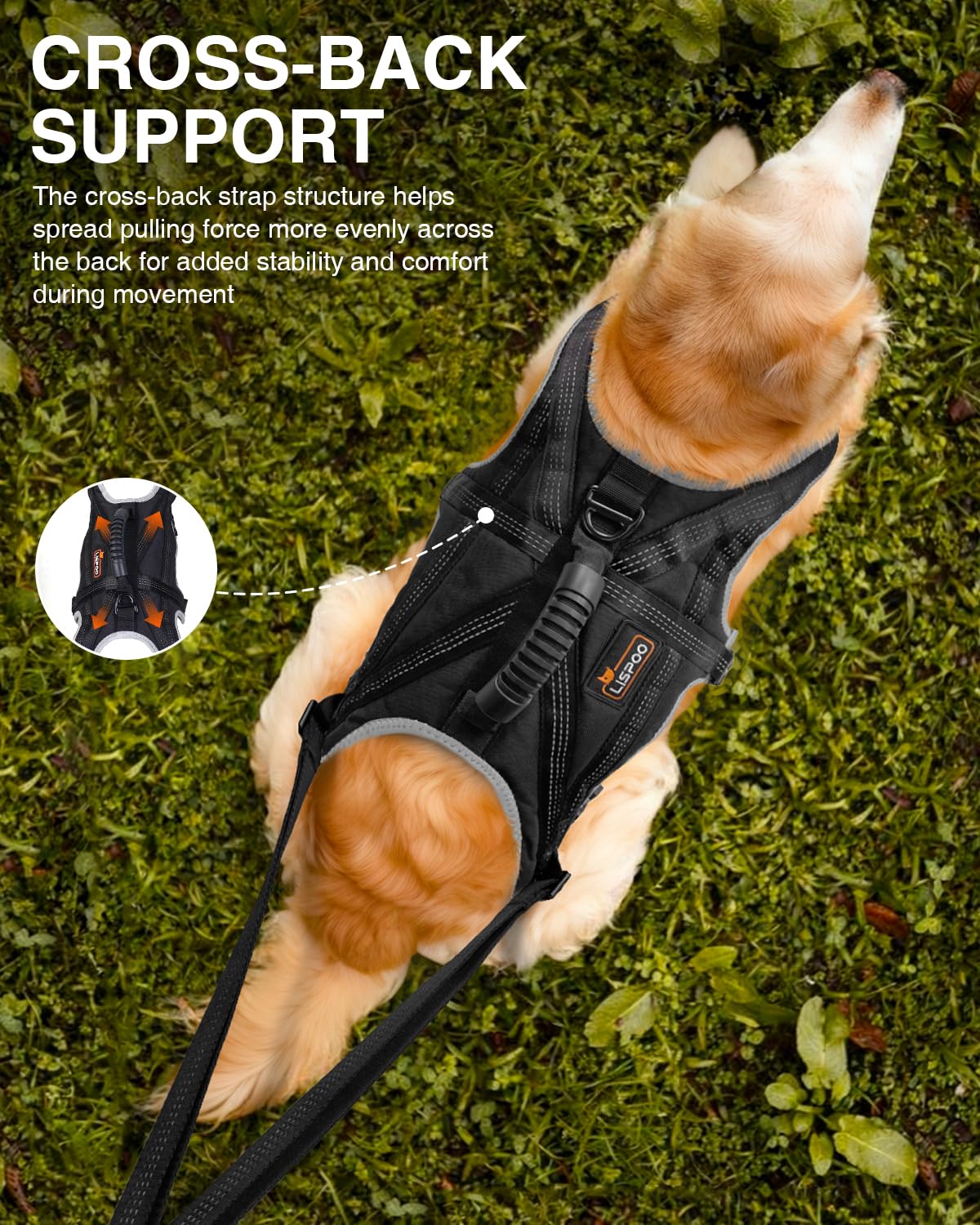 Dog Running Harness Set with Shock Absorbing Leash