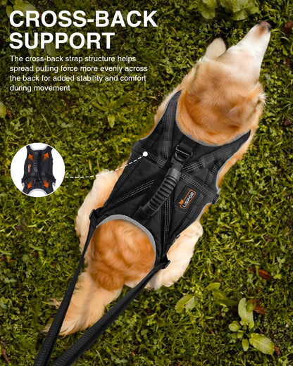 Dog Running Harness Set with Shock Absorbing Leash