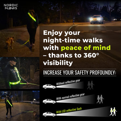 Rechargeable LED Safety Vest for Night Dog Walks