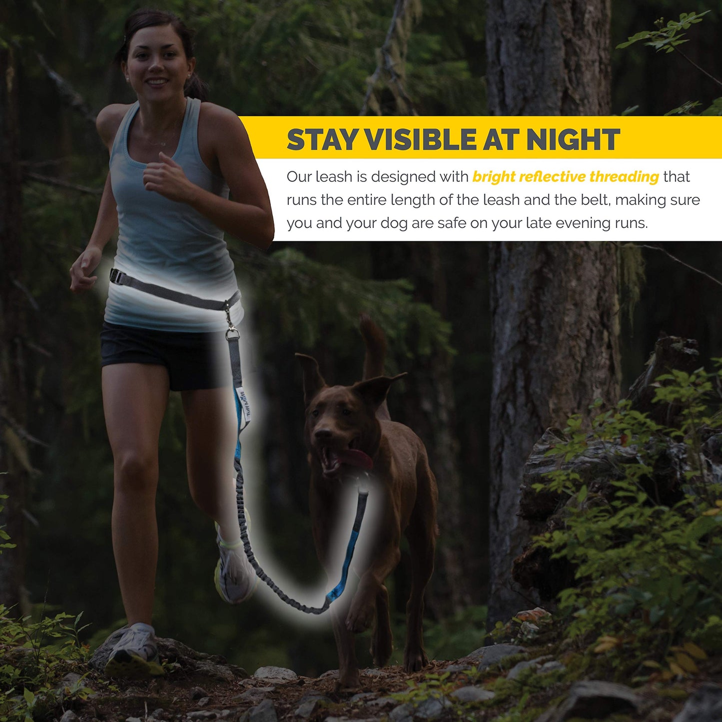 Hands-Free Dog Leash Belt for Walking & Running