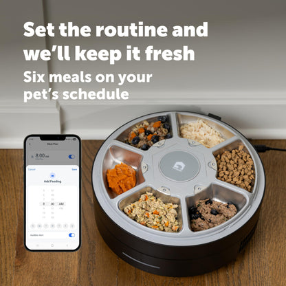 PetSafe FreshFeed Refrigerated Pet Feeder Automatic Wet Food Feeder for Cats & Small Dogs App Control 6 Fresh Meals Stainless Steel Inserts
