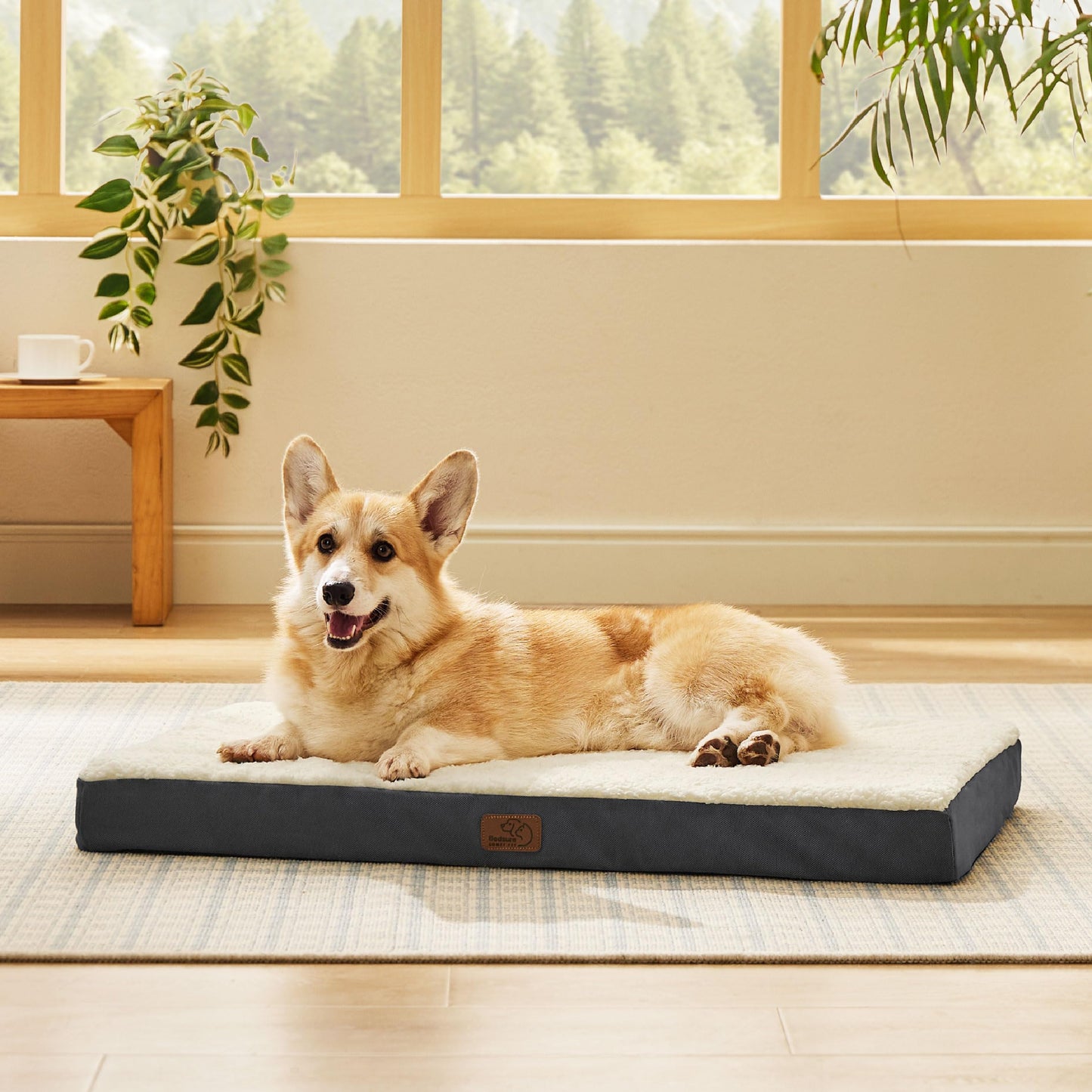 Washable Sherpa Dog Bed for Large Dogs