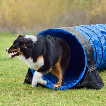 Briwooody 24 in 10 Foot PVC Dog Agility Tunnel with Sandbags Dogs Agility Training Equipment Tunnel with 2 Pack Sandbags, Carry Bag and 4 Ground Spikes for All Medium Large Dogs