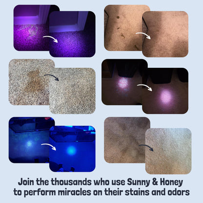 Sunny & Honey Pet Stain & Odor Remover