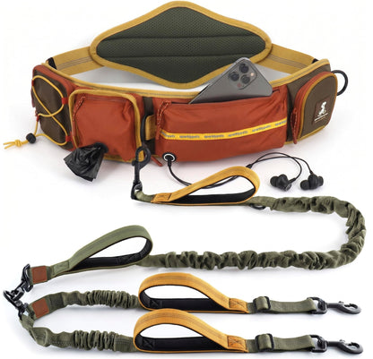 Reflective Dog Leash for Training & Outdoor Activities