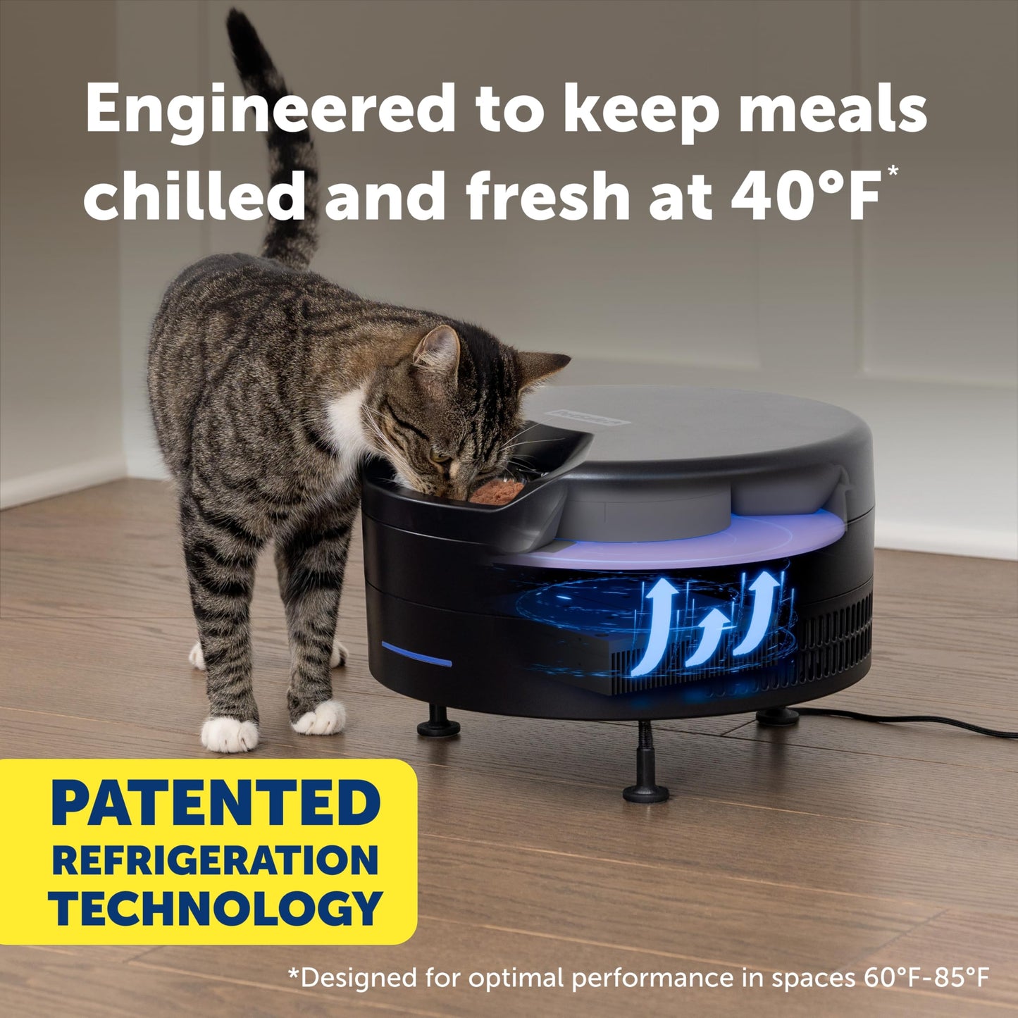 PetSafe FreshFeed Refrigerated Pet Feeder Automatic Wet Food Feeder for Cats & Small Dogs App Control 6 Fresh Meals Stainless Steel Inserts