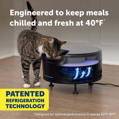 PetSafe FreshFeed Refrigerated Pet Feeder Automatic Wet Food Feeder for Cats & Small Dogs App Control 6 Fresh Meals Stainless Steel Inserts