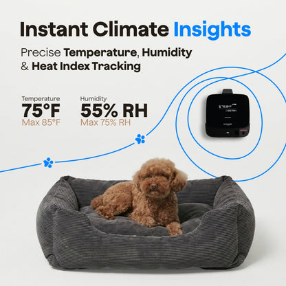 Waggle RV 4G LTE Pet Monitor Lite + 4G Cellular Security Camera - No WiFi? No Problem, Temperature & Humidity Monitor, Real-time Alerts - 2-Way Talk, Night Vision - Supports Verizon, AT&T & T-Mobile
