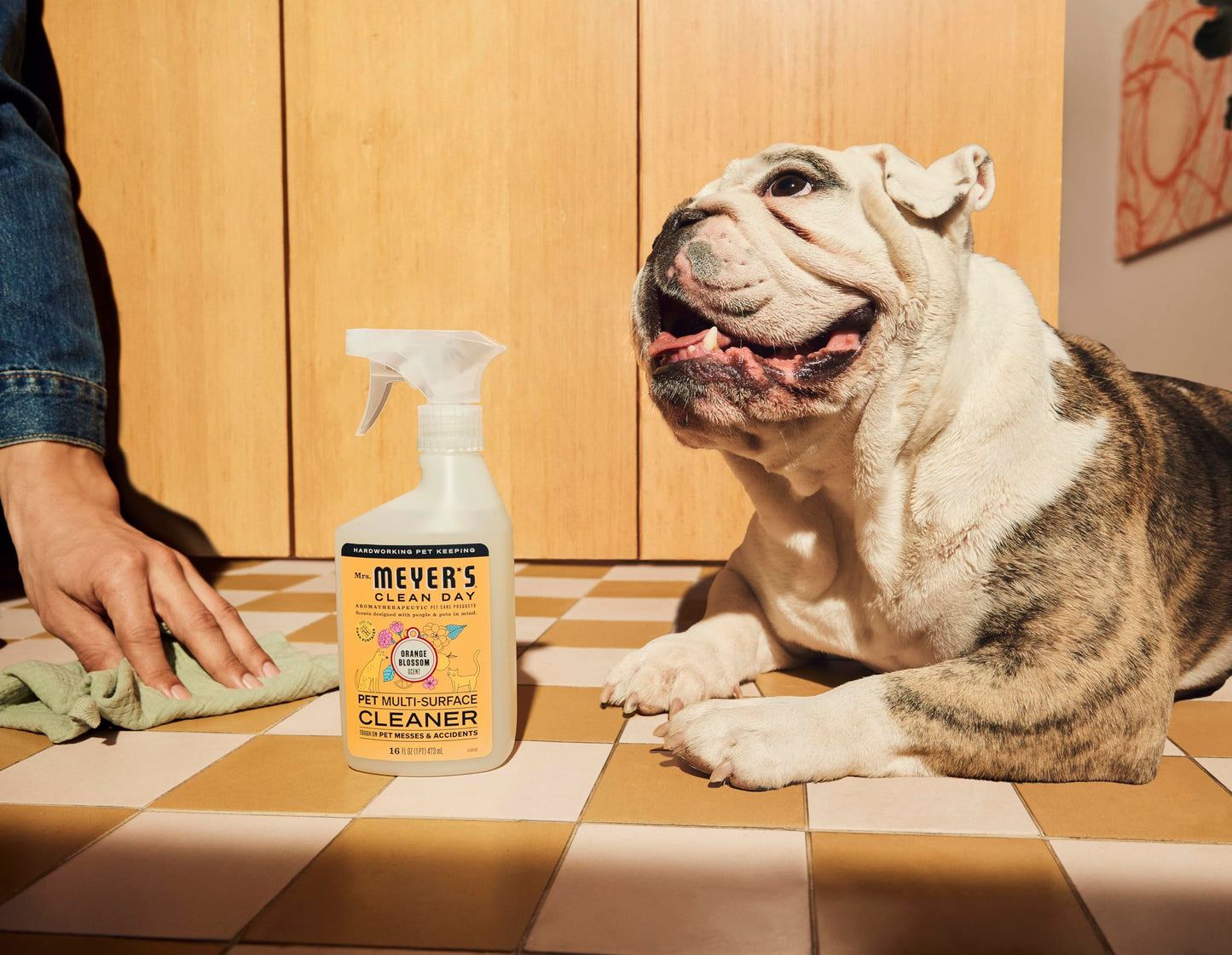 Pet Multi-Surface Cleaner for Home Cleaning
