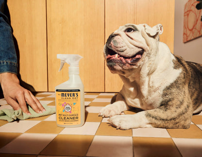 Pet Multi-Surface Cleaner for Home Cleaning