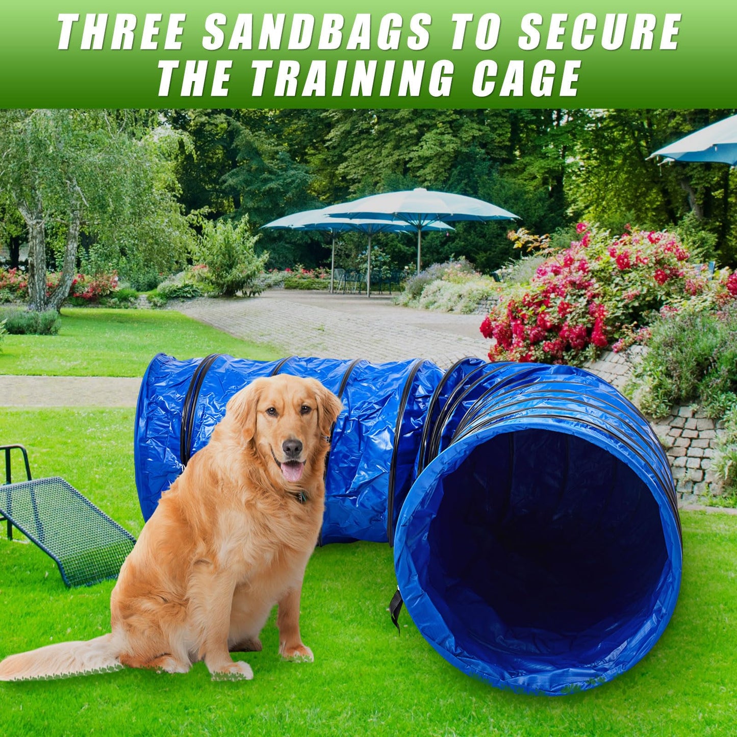 Briwooody 24 in 10 Foot PVC Dog Agility Tunnel with Sandbags Dogs Agility Training Equipment Tunnel with 2 Pack Sandbags, Carry Bag and 4 Ground Spikes for All Medium Large Dogs