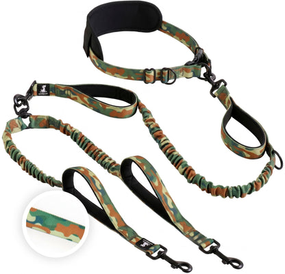 Reflective Dog Leash for Training & Outdoor Activities