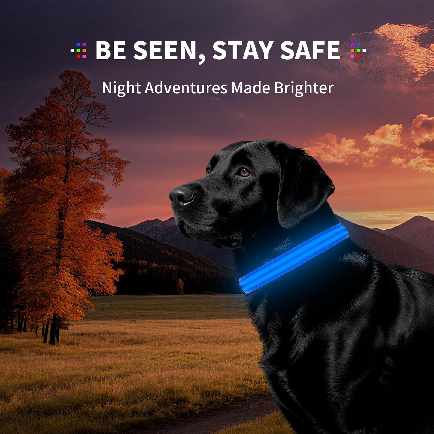 PetIsay Dog Light up Collar for Night Walking - High Visibility LED Dog Collar - Rechargeable - Waterproof - Reflective - Adjustable Lighted Glow Collars