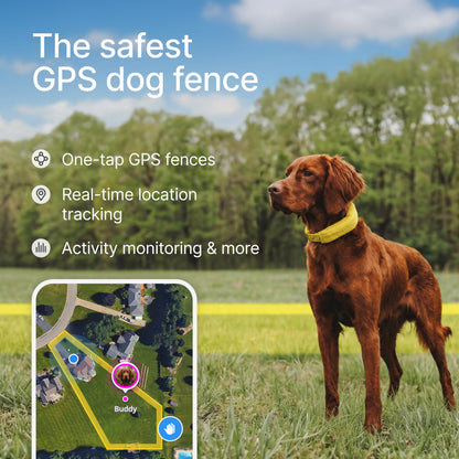Halo Collar 5 GPS Wireless Dog Fence