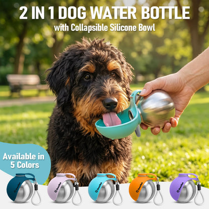 Portable Dog Water Bottle with Collapsible Bowl