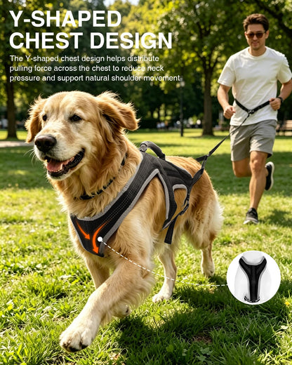 Dog Running Harness Set with Shock Absorbing Leash