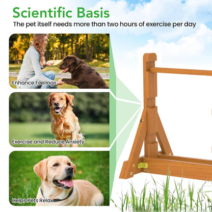 SuniBoxi Wooden Dog Training and Exercise Equipment