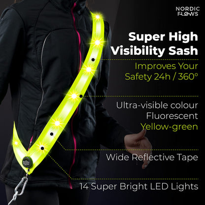Rechargeable LED Safety Vest for Night Dog Walks
